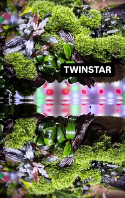 twinstar light 14030725 (13)